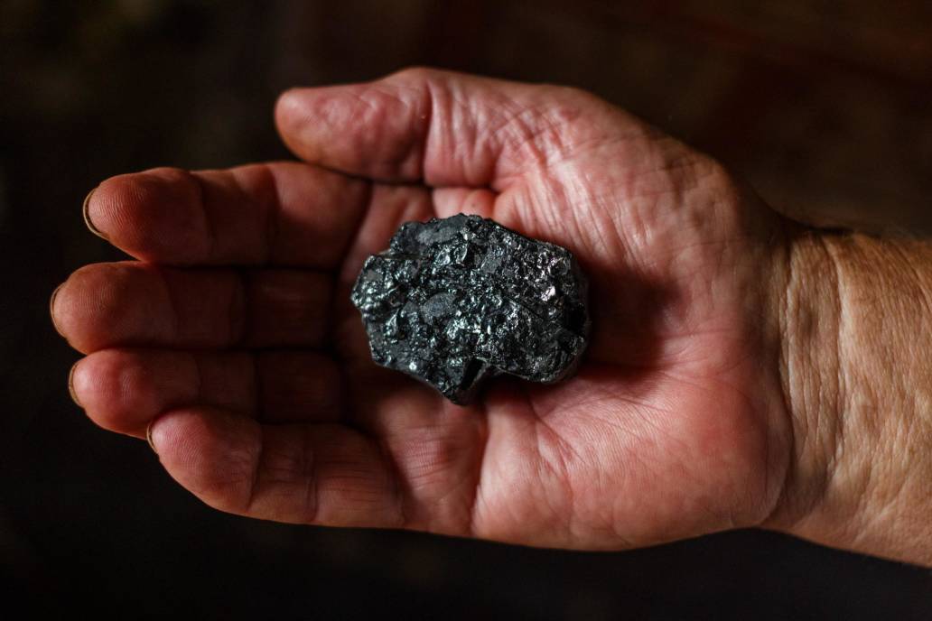 Holding Coal